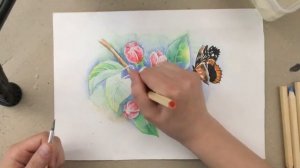 «Яблоко и бабочка - 3» как нарисовать КАРАНДАШИ | Сезон 1-5 |Мастер-класс для начинающих