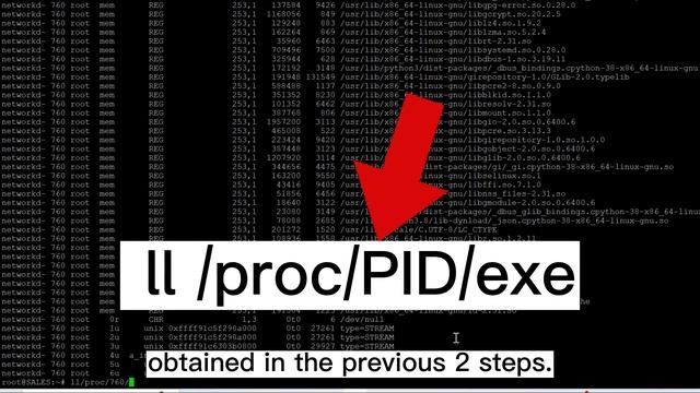 Linux Security|How to know if your Linux server is hacked in 3 minutes!