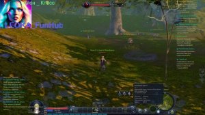 АЙОН КЛАССИК ЗБТ Стрим-стрим-стрим АЙОН КЛАССИК ЗБТ