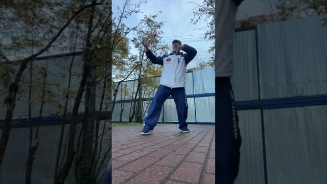 Ицюань онлайн /  Тича и Гоугуа Чжуан / Феньгуа Фали / Комплекс Казуми / Спец. столбы (5.10.24)