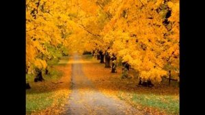 Исцеляющая музыка Robert Haig Coxon