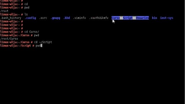 Linux:1-1.pwd, ls, cd