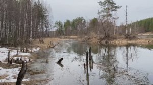 ПВД Лесные дебри 2024. Колташинское вдхр., оз. Гешино, река Нейва. Средний Урал.