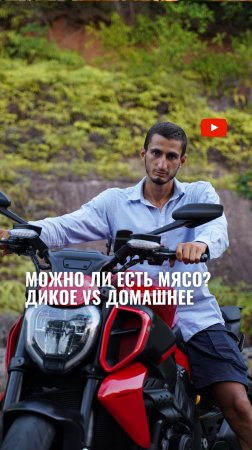 Можно ли есть мясо: дикое vs домашнее