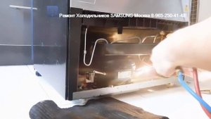 Ремонт холодильника SAMSUNG RL55 С инверторным компрессором 8-965-250-41-48 Москва