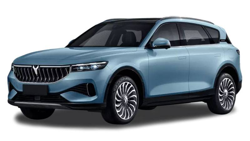 FOXWELL i80TS: Диагностика VOYAH FREE 2023
