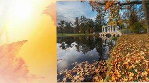 О больная прекрасная осень...