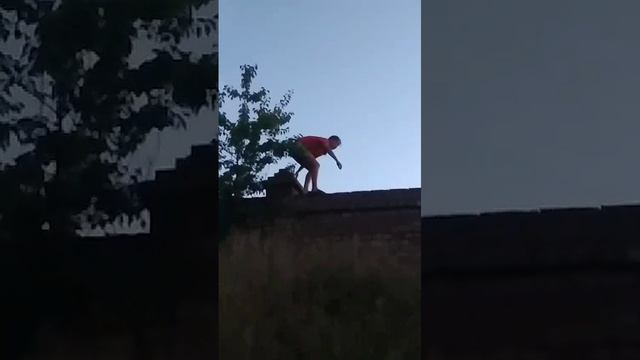 Обезьяна смотреть онлайн