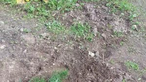 Начинаем строить бытовку( наш домик отдыха)