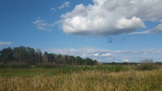 Моменты счастья: что помогает быть в настоящем.