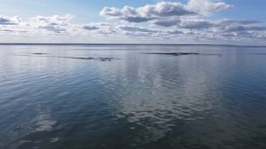 Молога - русская Атлантида