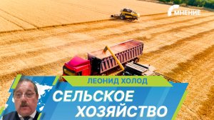 Как в странах Содружества формируется единый агропромышленный рынок?