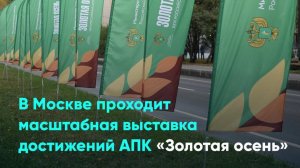 В Москве проходит масштабная выставка достижений АПК «Золотая осень»