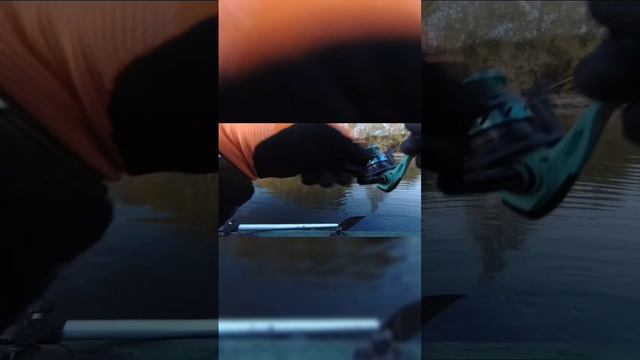 Щукамонстр атаковал воблер