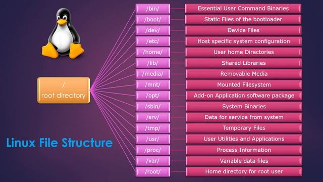 Linux File structure #linux #techiezero
