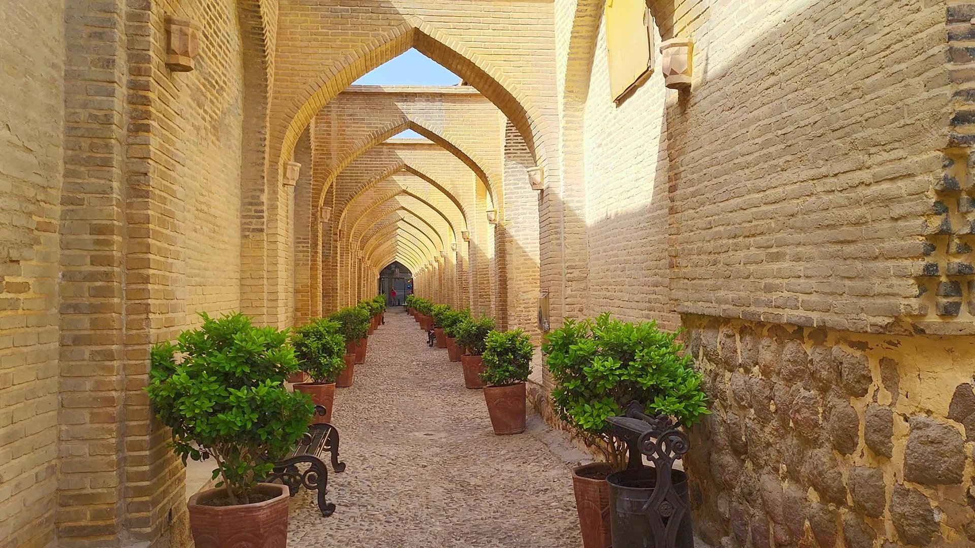 Walking In Shiraz, Iran