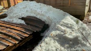 Купили заброшенную дачу.  Открытие сезона. Стройка не за горами.