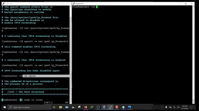Linux 1_7 Linux Filesystem Hierarchy