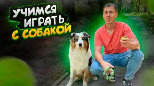 Как научить собаку играть в игры.