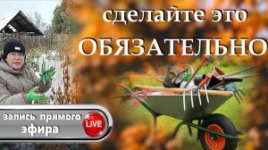 У нас выпал снег. Что надо сделать в октябре и ноябре в саду и на огороде