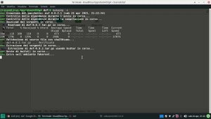 Installa DUF(Disk usage/free disk) su Manjaro Linux