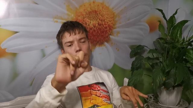 Давайте ТВОРИТЬ ВМЕСТЕ. Спецвыпуск