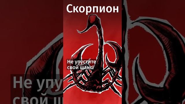 Предсказания на 2023 год! Гороскоп (таро) на 2023 год для всех знаков зодиака от Rommybook (часть 1)