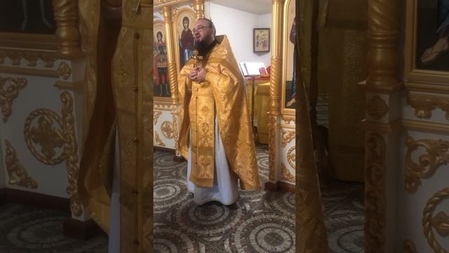 Проповедь об исцелении кровоточивой и воскрешении дочери Иаира смотреть онлайн