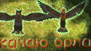 #WildCraft/ играю в WildCraft/ прокачка орла❤🐾🎀 #WildCraft#WildCraft#WildCraft#WildCraft#WildCraft