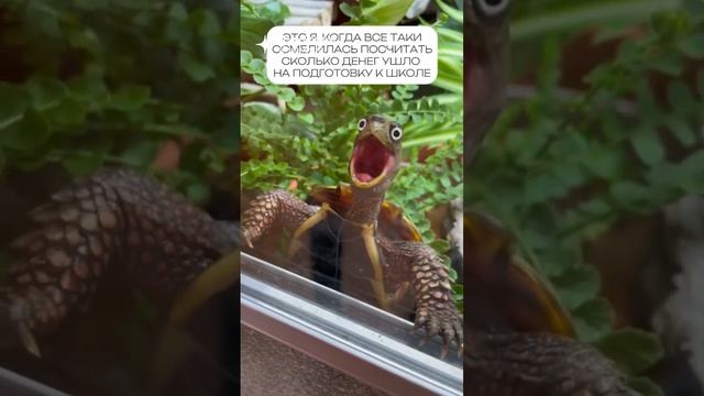 Рамазан в парке