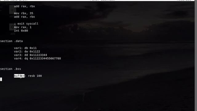 Linux Assembly Language x64 # 5 - Reserving Bytes and the  bss Section