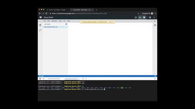 Command line interface 101- Very basic linux commands