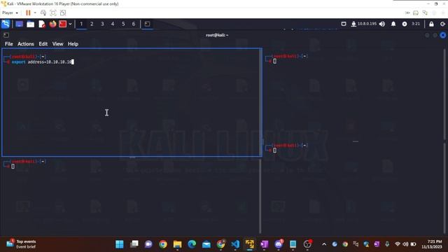 How to set environment variable in kali linux