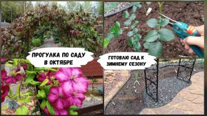 Прогулка по саду в октябре. Готовлю сад к зимнему сезону.