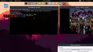 Steghide Tutorial/Demo