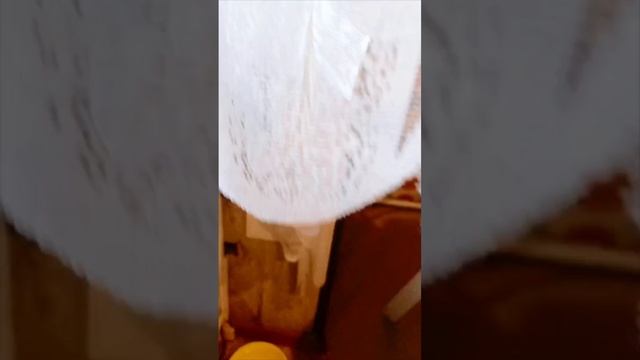 МОЙ КУЗЬКА !!!!!!