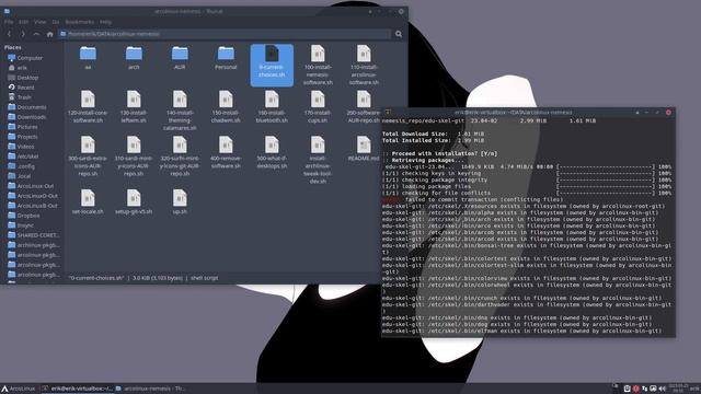 ArcoLinux : 3581 What to do after a clean install - arcolinux-nemesis - ricing