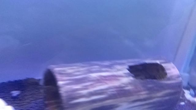 знакомства