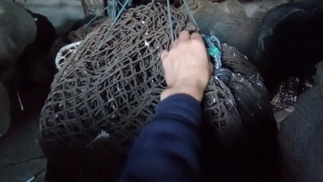 Садки для выращивания рыбы. Виды, что такое текс и как он влияет на долговечность и цену??? смотреть онлайн