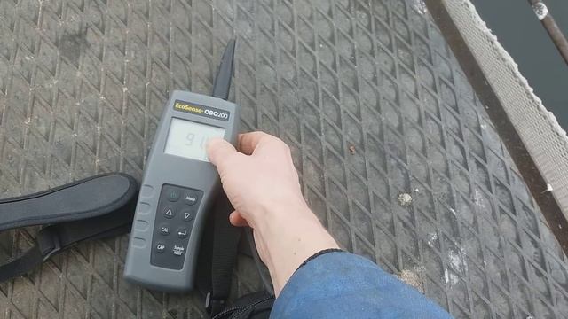 Рабочий день рыбовода:термооксиметр YSI, кормление форели, испанские корма для форели, стерлядь смотреть онлайн