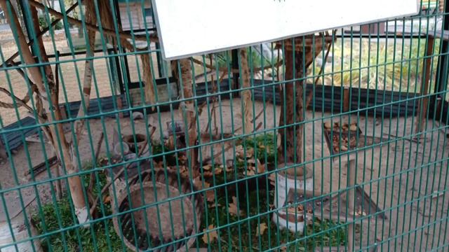 Воспоминания (часть 3) о нахождении в Доме отдыха Торово ПАО Северсталь Череповец.mp4 смотреть онлайн