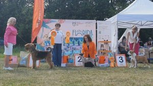 29.06.2024, СПб. Клуб "ПЕТРОПОЛЬ". Выставка CAC 3 группы FCI