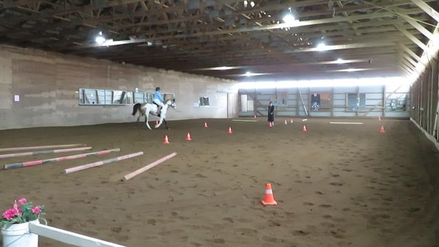 MVI 3185 Tayler and Ghost Day 3 смотреть онлайн