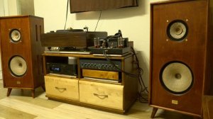 "Memory" - acoustic systems of superemotional impact.