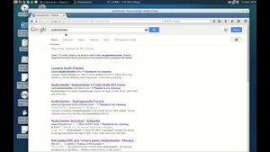Exact Audio Copy rip in Linux Xubuntu and create lossless release