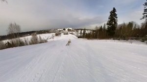 Горные лыжи