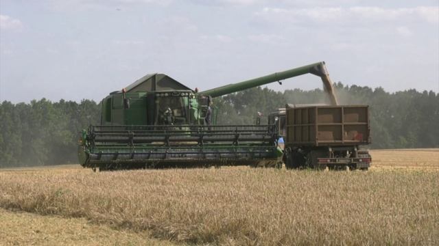Воронежская область среди лидеров по развитию экспортного потенциала агропромышленного комплекса