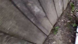 Дин-дон я пришла скорее двери открывай