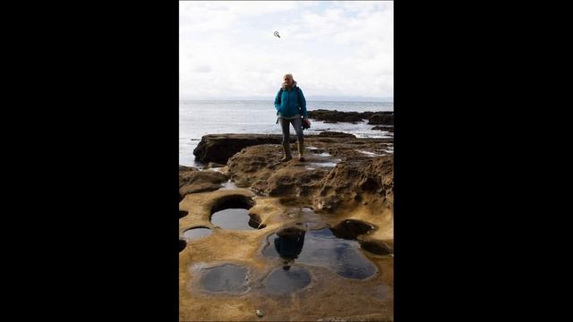 Photolemur 3 - Review and photo examples