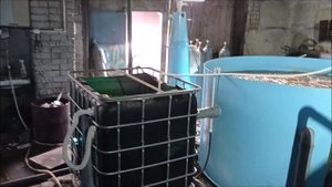 УЗИ на 3 УЗВ Челябинской обл. за 1 день